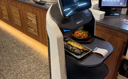 서빙로봇 실제 운영